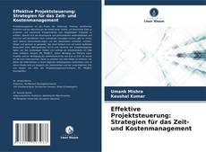 Effektive Projektsteuerung: Strategien für das Zeit- und Kostenmanagement kitap kapağı