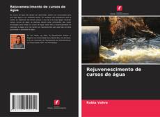 Capa do livro de Rejuvenescimento de cursos de água 