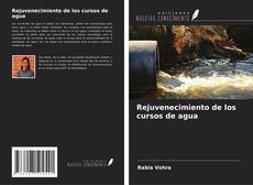 Buchcover von Rejuvenecimiento de los cursos de agua