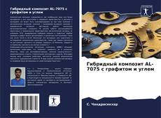 Bookcover of Гибридный композит AL-7075 с графитом и углем