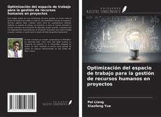 Bookcover of Optimización del espacio de trabajo para la gestión de recursos humanos en proyectos
