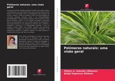 Buchcover von Polímeros naturais: uma visão geral