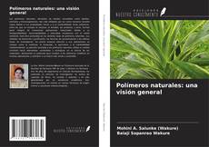 Buchcover von Polímeros naturales: una visión general