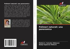 Polimeri naturali: una panoramica kitap kapağı