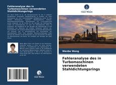 Capa do livro de Fehleranalyse des in Turbomaschinen verwendeten Stahldichtungsrings 