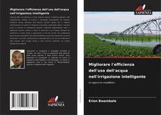 Bookcover of Migliorare l'efficienza dell'uso dell'acqua nell'irrigazione intelligente