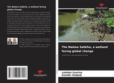 Portada del libro de The Naâma Sabkha, a wetland facing global change