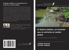 Buchcover von El Naâma Sabkha, un humedal que se enfrenta al cambio global