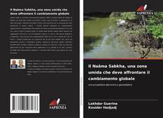 Portada del libro de Il Naâma Sabkha, una zona umida che deve affrontare il cambiamento globale