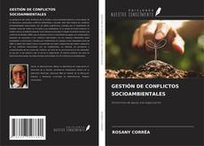 GESTIÓN DE CONFLICTOS SOCIOAMBIENTALES kitap kapağı