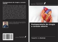 Bookcover of Postoperatorio de cirugía a corazón abierto