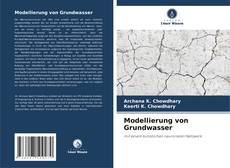 Portada del libro de Modellierung von Grundwasser