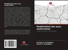 Modélisation des eaux souterraines kitap kapağı