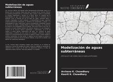 Modelización de aguas subterráneas kitap kapağı