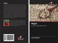 Bookcover of Miglio