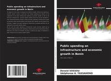Capa do livro de Public spending on infrastructure and economic growth in Benin 