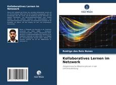 Kollaboratives Lernen im Netzwerk kitap kapağı