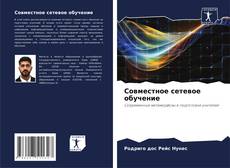 Buchcover von Совместное сетевое обучение