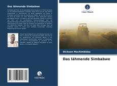 Das lähmende Simbabwe kitap kapağı