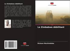Buchcover von Le Zimbabwe débilitant