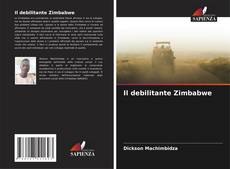 Il debilitante Zimbabwe kitap kapağı