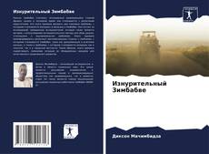 Capa do livro de Изнурительный Зимбабве 