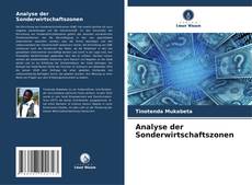 Analyse der Sonderwirtschaftszonen kitap kapağı