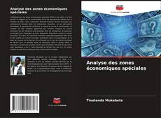 Buchcover von Analyse des zones économiques spéciales