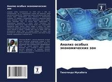 Capa do livro de Анализ особых экономических зон 