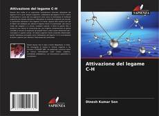 Bookcover of Attivazione del legame C-H