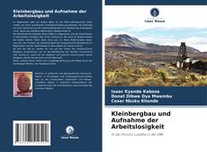Bookcover of Kleinbergbau und Aufnahme der Arbeitslosigkeit