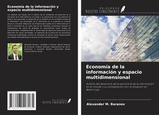 Economía de la información y espacio multidimensional kitap kapağı