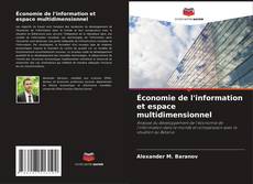 Bookcover of Économie de l'information et espace multidimensionnel