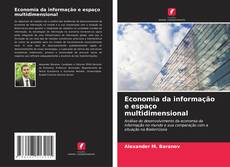 Economia da informação e espaço multidimensional kitap kapağı