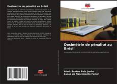 Dosimétrie de pénalité au Brésil kitap kapağı