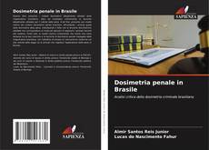 Обложка Dosimetria penale in Brasile