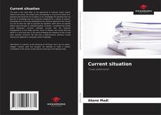 Bookcover of Current situation