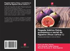 Bookcover of Pegada hídrica física, económica e social da figueira (ficus carica l.)