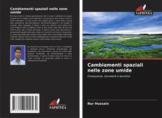 Bookcover of Cambiamenti spaziali nelle zone umide