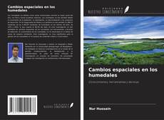 Bookcover of Cambios espaciales en los humedales