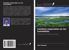 Portada del libro de Cambios espaciales en los humedales