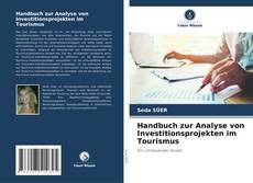 Capa do livro de Handbuch zur Analyse von Investitionsprojekten im Tourismus 