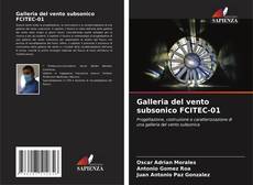 Capa do livro de Galleria del vento subsonico FCITEC-01 