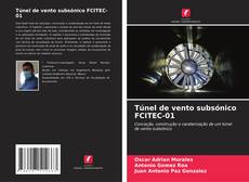 Túnel de vento subsónico FCITEC-01 kitap kapağı