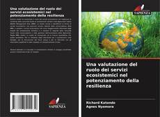 Una valutazione del ruolo dei servizi ecosistemici nel potenziamento della resilienza kitap kapağı