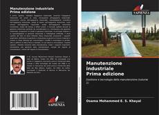 Manutenzione industriale Prima edizione的封面