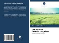 Industrielle Grunderzeugnisse kitap kapağı