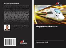 Viaggio multimodale kitap kapağı