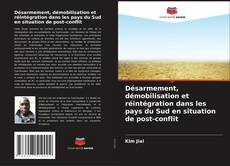 Buchcover von Désarmement, démobilisation et réintégration dans les pays du Sud en situation de post-conflit