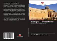 Buchcover von Droit pénal international